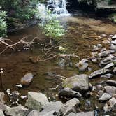 Review photo of Hickory Run Family Camping Resort by John S., July 26, 2021