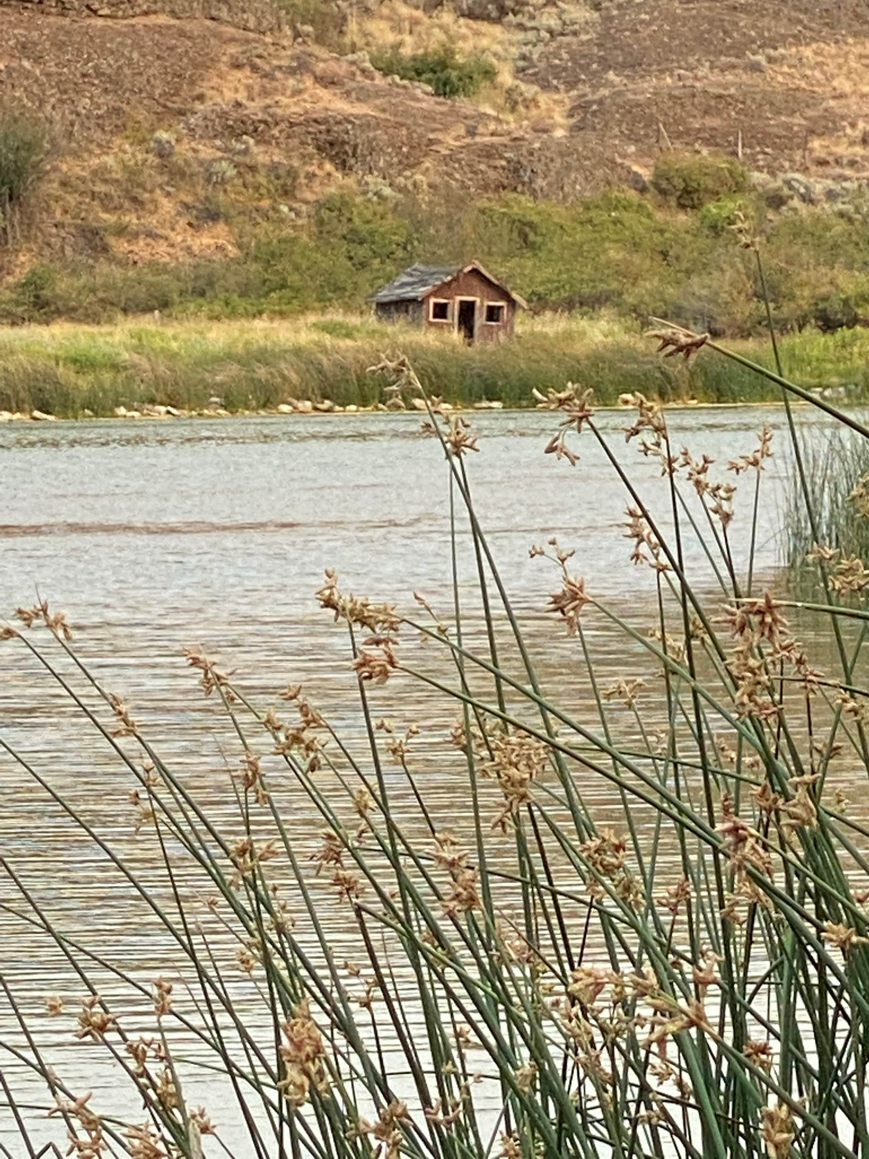 Camper-submitted photo at Coffeepot Lake near Coulee Dam, WA