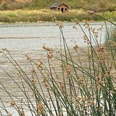 Review photo of Coffeepot Lake by meryl H., July 26, 2021