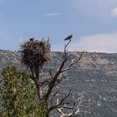 Review photo of Joes Valley Reservoir by Gabriel A., July 26, 2021