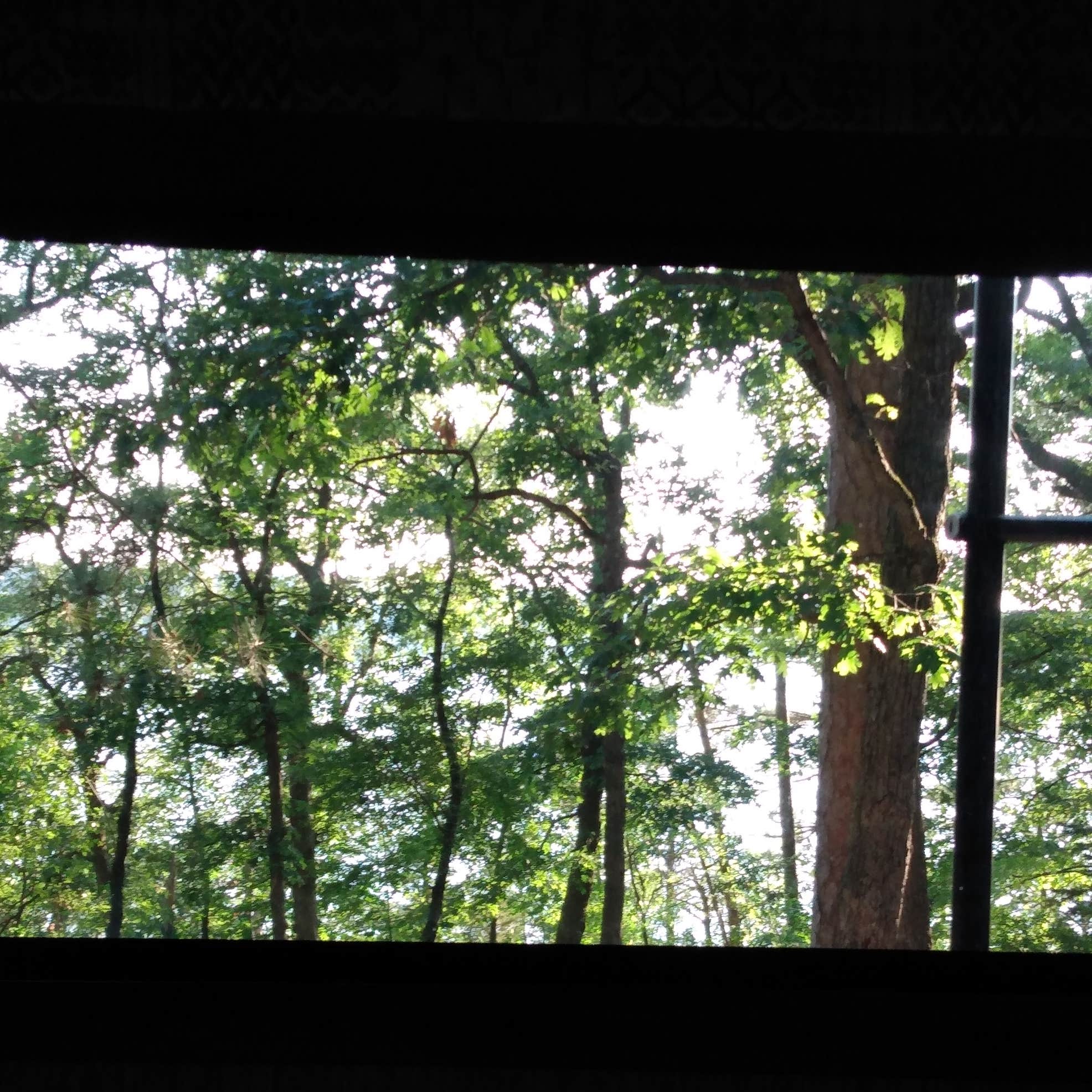 Holiday Shores Campground Wisconsin Dells - rwt3dtr