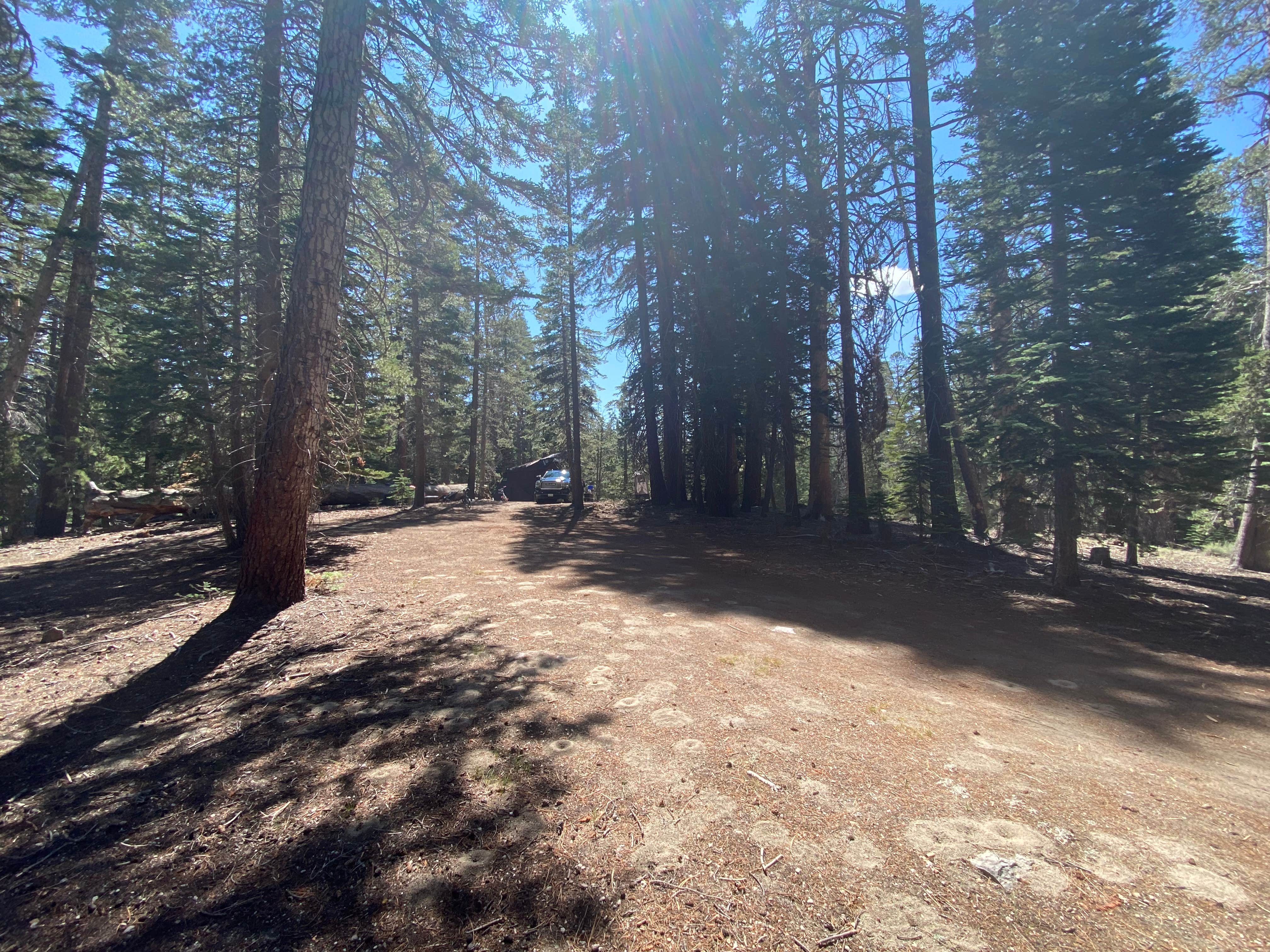 Camper submitted image from Scenic Loop - Dispersed Camping - 4