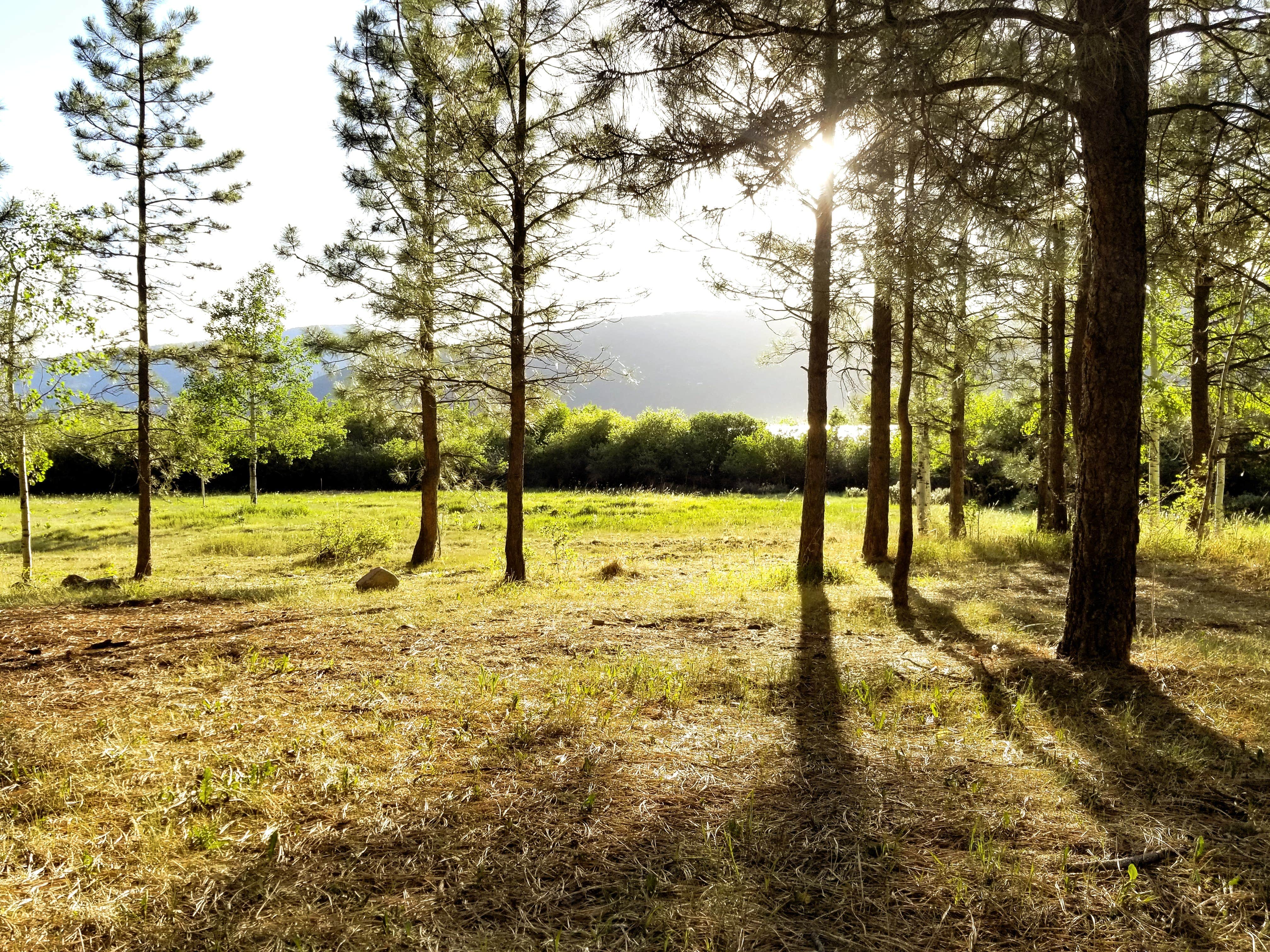 View from our campsite