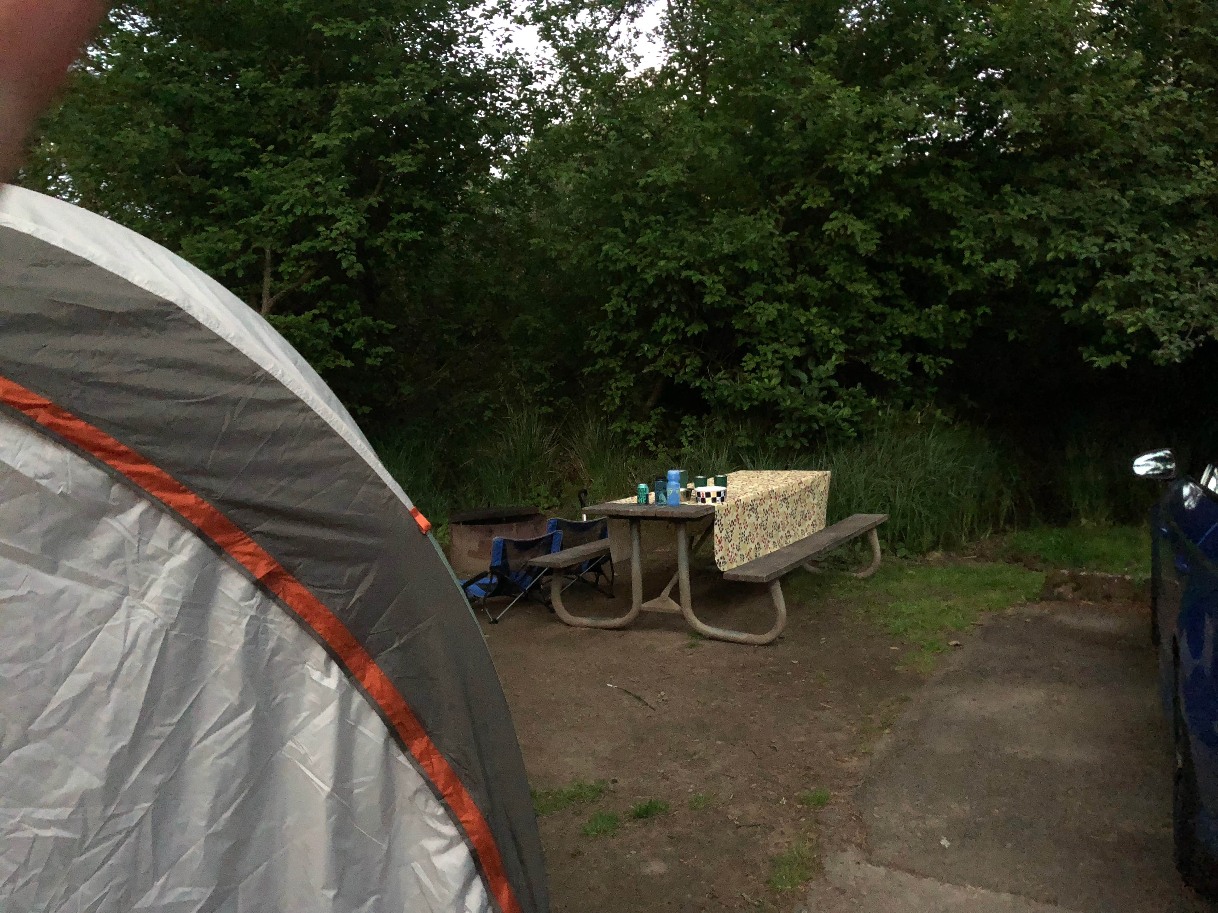 Camper submitted image from Devil’s Lake State Recreation Area Campground - 2