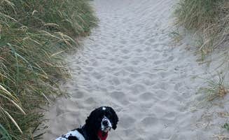 Taylor T.'s photo of camping with pets at Nehalem Bay State Park Campground near Cannon Beach, OR