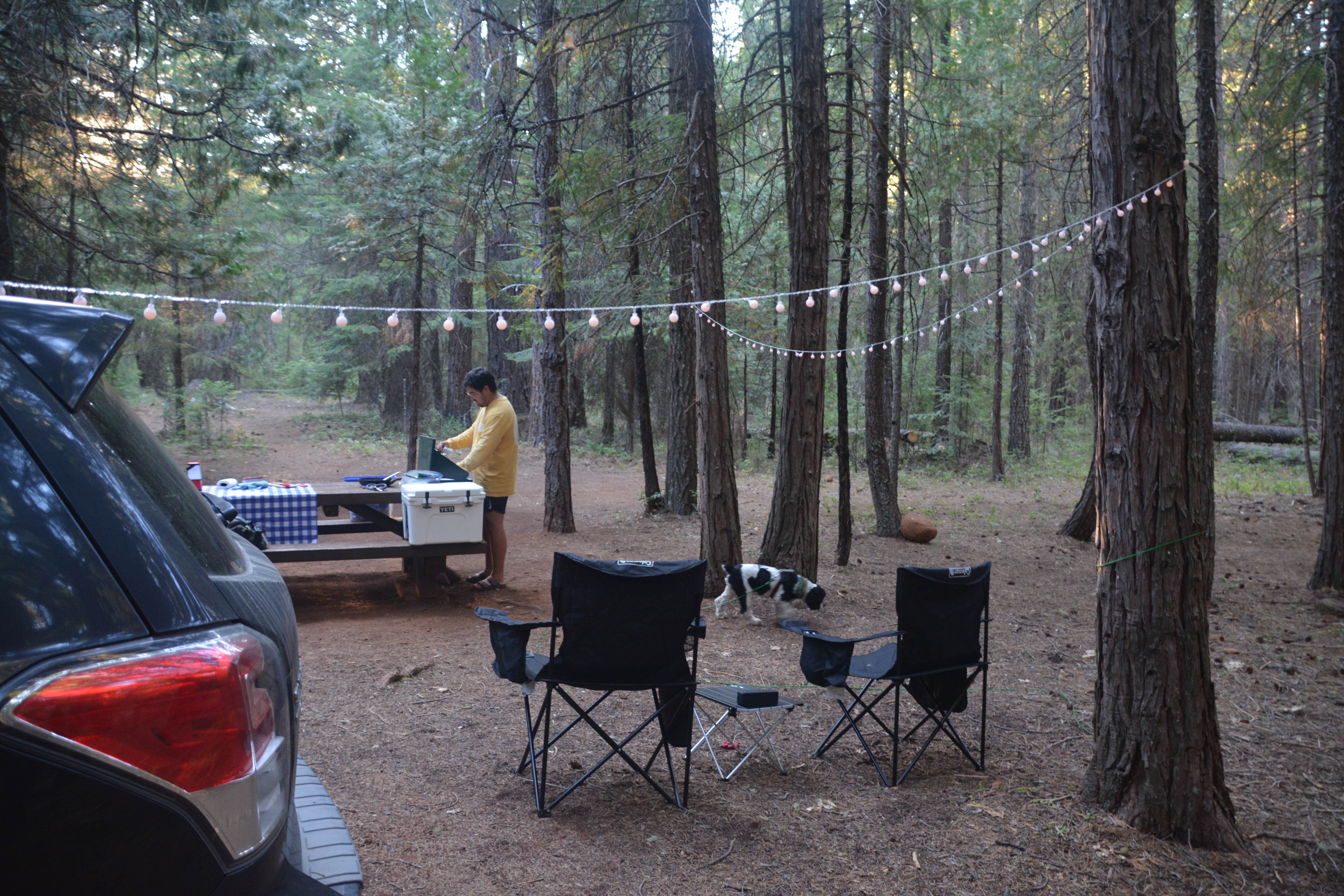 Taylor T.'s photo of camping with pets at Whiskey Springs Campground near Prospect, OR