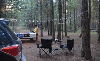 Taylor T.'s photo of camping with pets at Whiskey Springs Campground near Prospect, OR