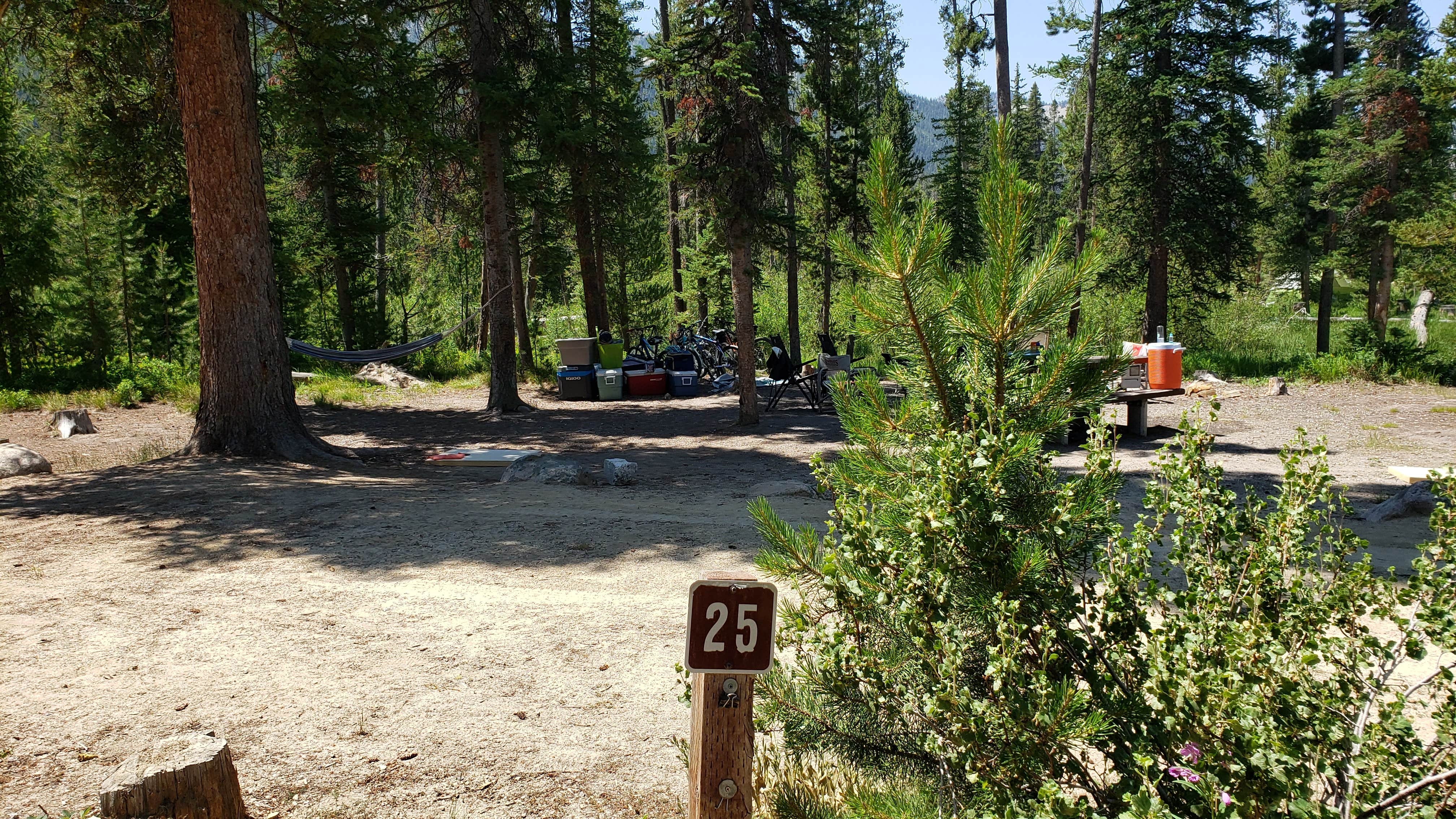 Camper submitted image from Alturas Inlet Campground - 5