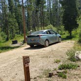 Review photo of Alturas Inlet Campground by Nancy C., July 26, 2021