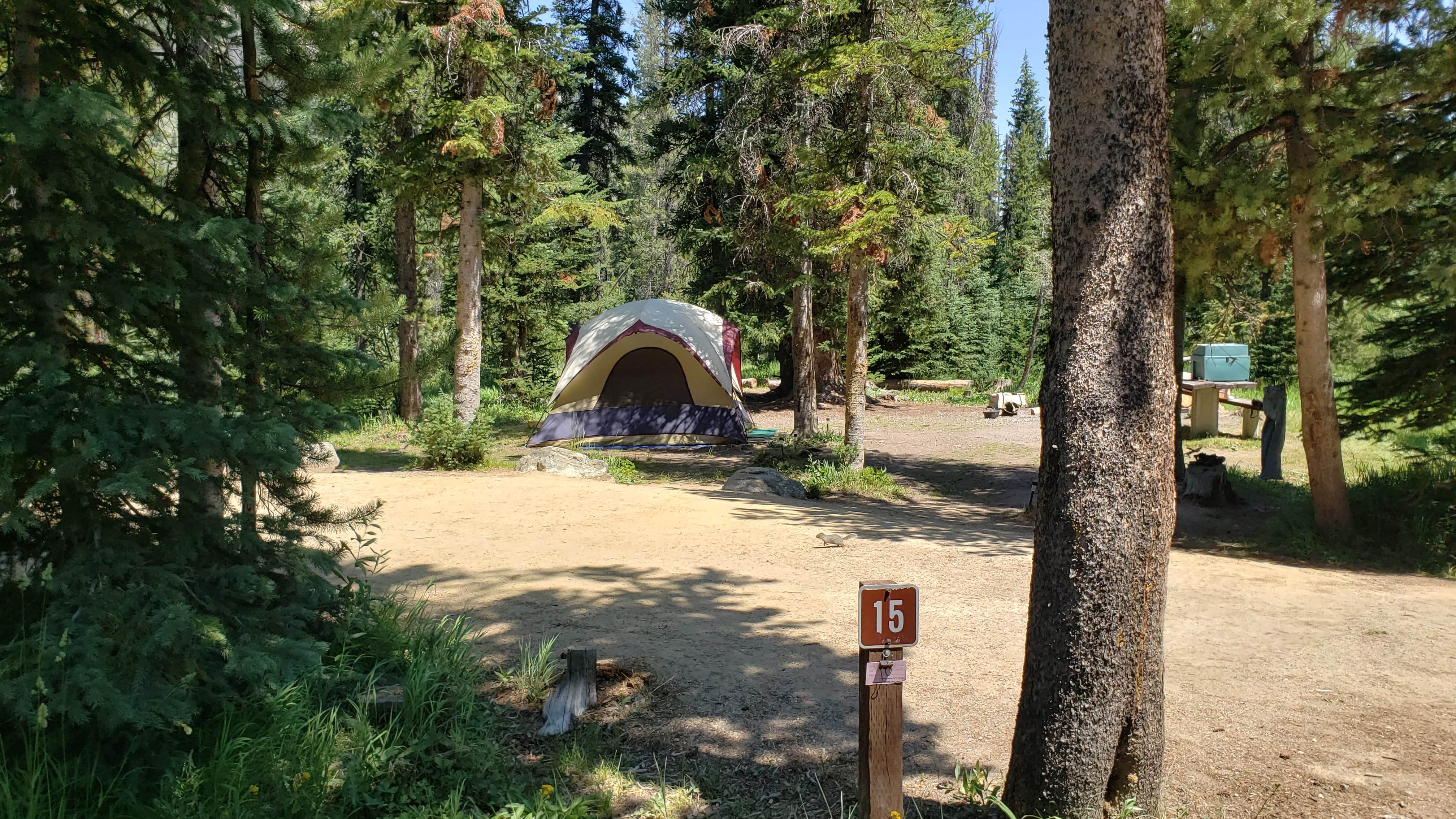 Nancy C.'s photo at Alturas Inlet Campground near Atlanta, ID