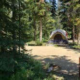 Review photo of Alturas Inlet Campground by Nancy C., July 26, 2021