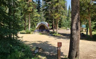Nancy C.'s photo at Alturas Inlet Campground near Atlanta, ID