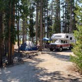 Review photo of Smokey Bear by Nancy C., July 26, 2021