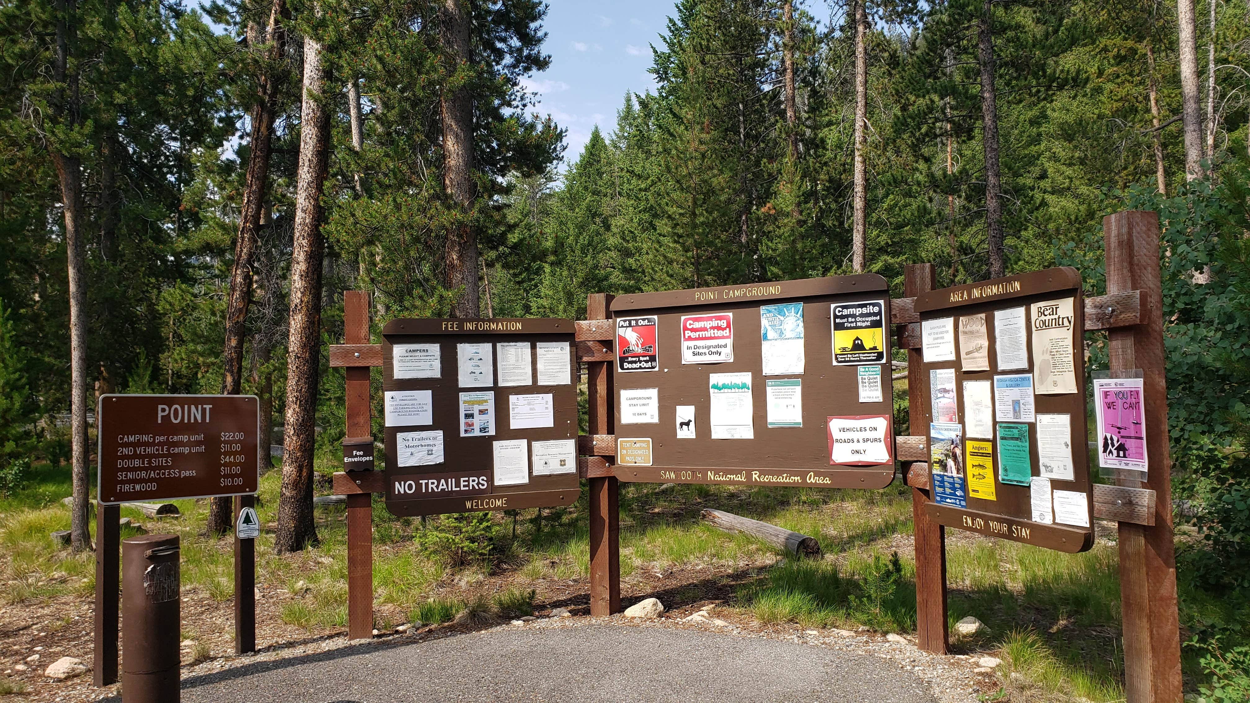 Camper-submitted photo at Point near Stanley, ID