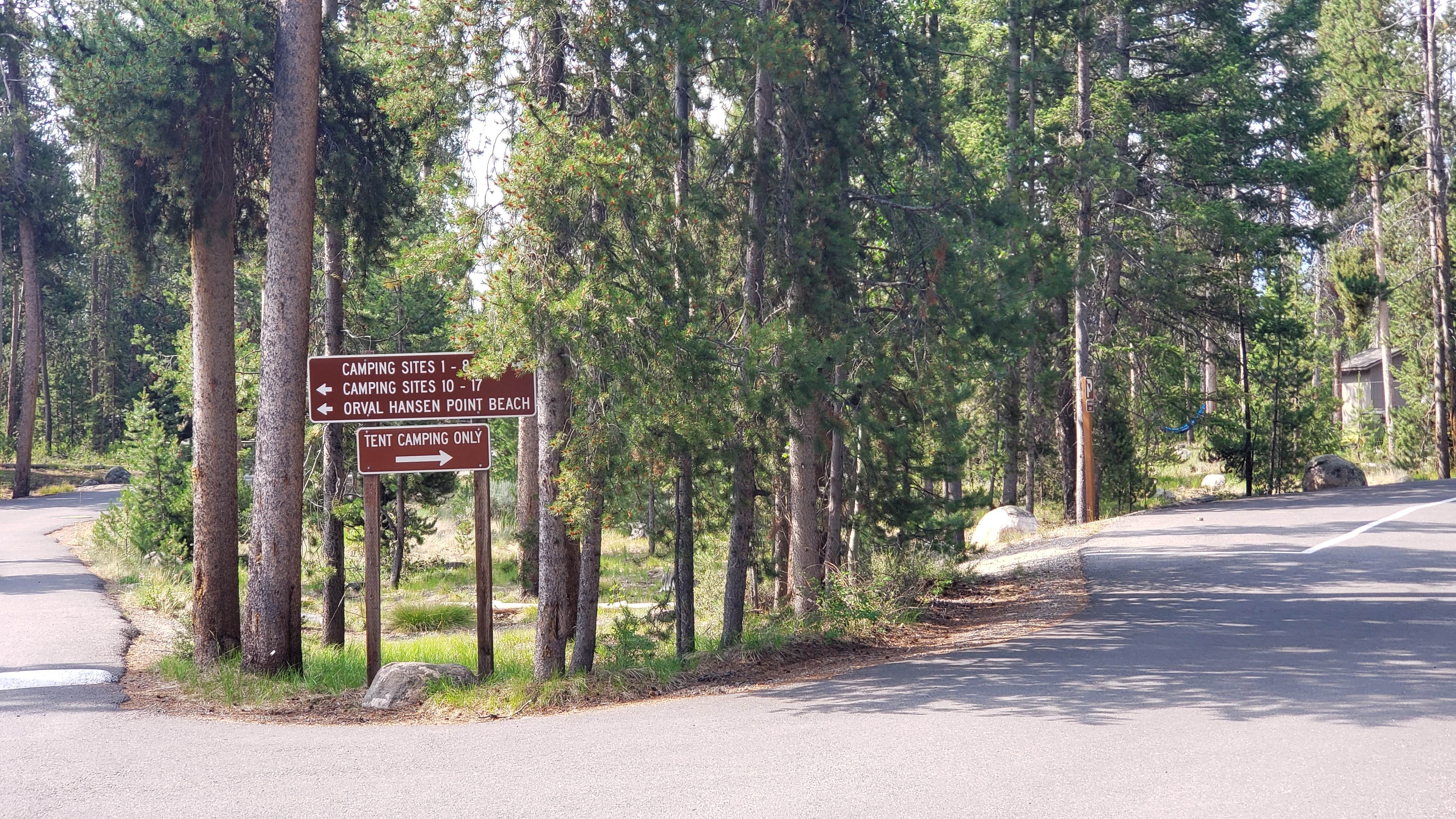 Camper-submitted photo at Point near Stanley, ID