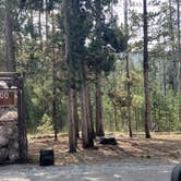 Review photo of Glacier View Campground by Nancy C., July 26, 2021