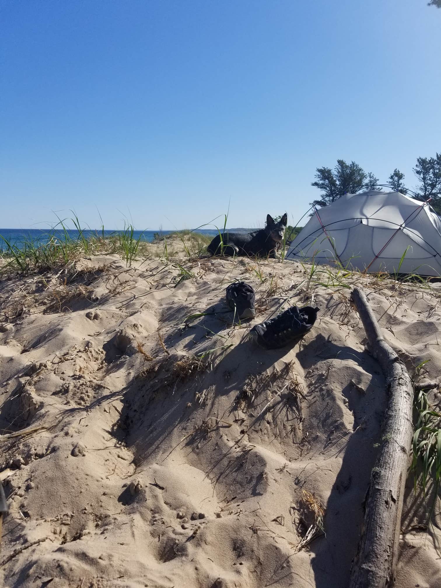 Camper-submitted photo at Nordhouse Dunes Wilderness near Custer, MI
