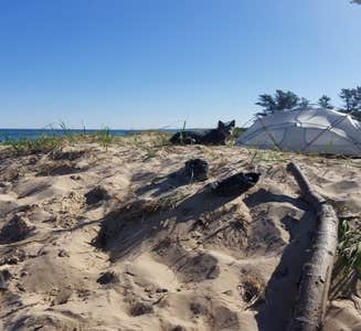 Camper-submitted photo from Lake Michigan Campground at Muskegon State Park Campground