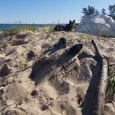 Review photo of Nordhouse Dunes Wilderness by Shane D., June 16, 2018