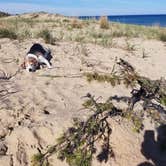 Review photo of Nordhouse Dunes Wilderness by Shane D., June 16, 2018