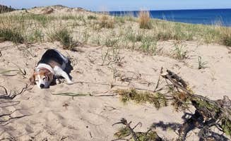 Shane D.'s photo of camping with pets at Nordhouse Dunes Wilderness near Free Soil, MI
