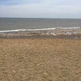 Review photo of Adeline Jay-Geo Karis Illinois Beach State Park by Candy B., June 16, 2018