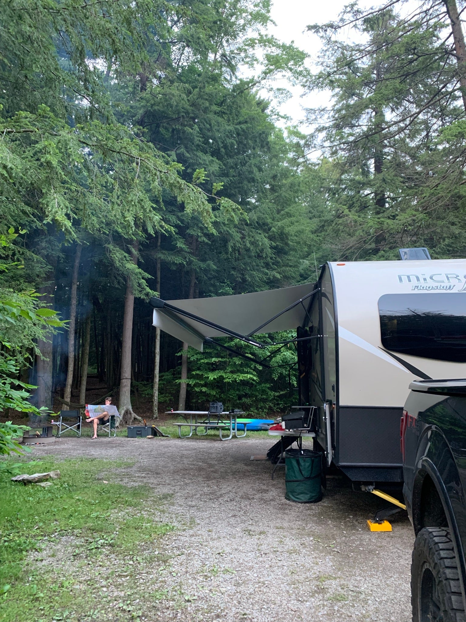 Camper submitted image from Cook Forest State Park Campground - 5
