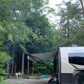 Review photo of Cook Forest State Park Campground by Britt B., July 26, 2021