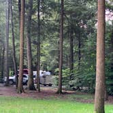 Review photo of Cook Forest State Park Campground by Britt B., July 26, 2021