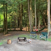 Review photo of Cook Forest State Park Campground by Britt B., July 26, 2021