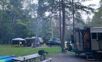 Britt B.'s photo at Cook Forest State Park Campground & Cabins near Tionesta Lake