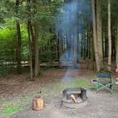 Review photo of Cook Forest State Park Campground by Britt B., July 26, 2021