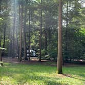 Review photo of Cook Forest State Park Campground by Britt B., July 26, 2021