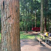 Review photo of Cook Forest State Park Campground by Britt B., July 26, 2021