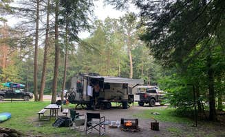 Britt B.'s photo of rv camping at Cook Forest State Park Campground & Cabins near Marienville, PA