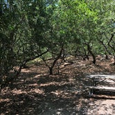 Review photo of First Landing State Park Campground by Janet P., June 16, 2018