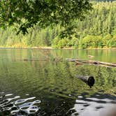 Review photo of Fairholme Campground — Olympic National Park by Cheyenne B., July 26, 2021