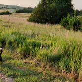 Review photo of Merritt Reservoir State Rec Area by Kevin  S., July 26, 2021