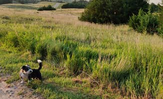 Kevin S.'s photo of camping with pets at Cedar Bay Campground — Merritt Reservoir near Merriman, NE