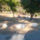 Review photo of Applewhite Campground (Ca) — San Bernardino National Forest by Sara H., July 26, 2021