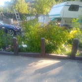 Review photo of Applewhite Campground (Ca) — San Bernardino National Forest by Sara H., July 26, 2021