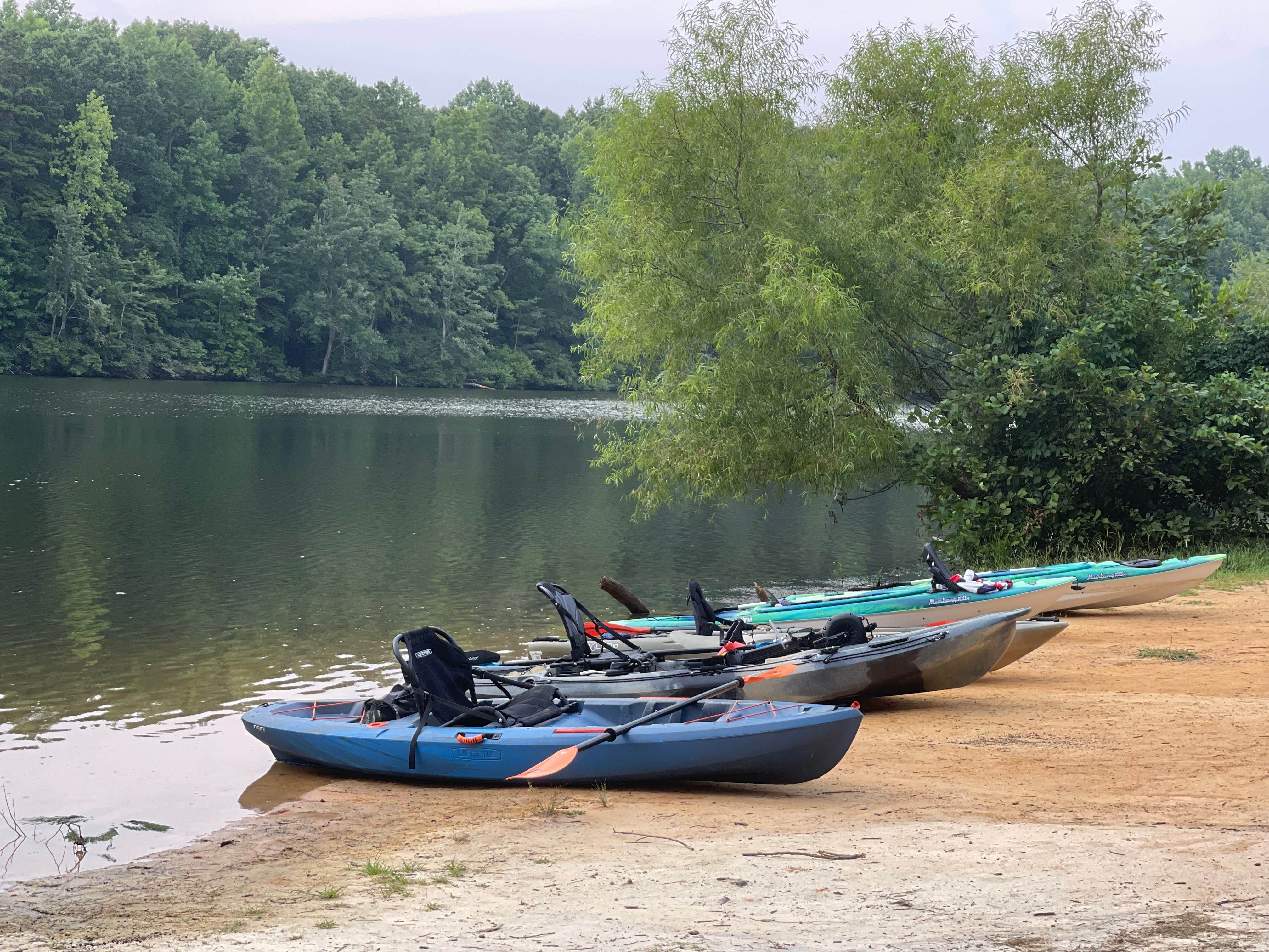 Camper submitted image from Andrew Jackson State Park Campground - 1