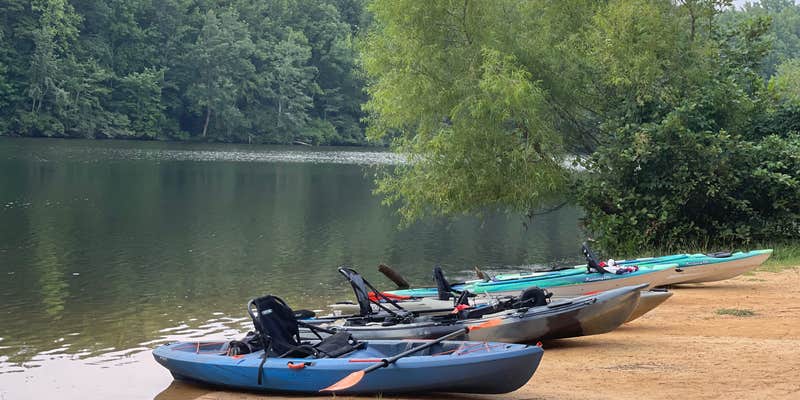Camper submitted image from Andrew Jackson State Park Campground
