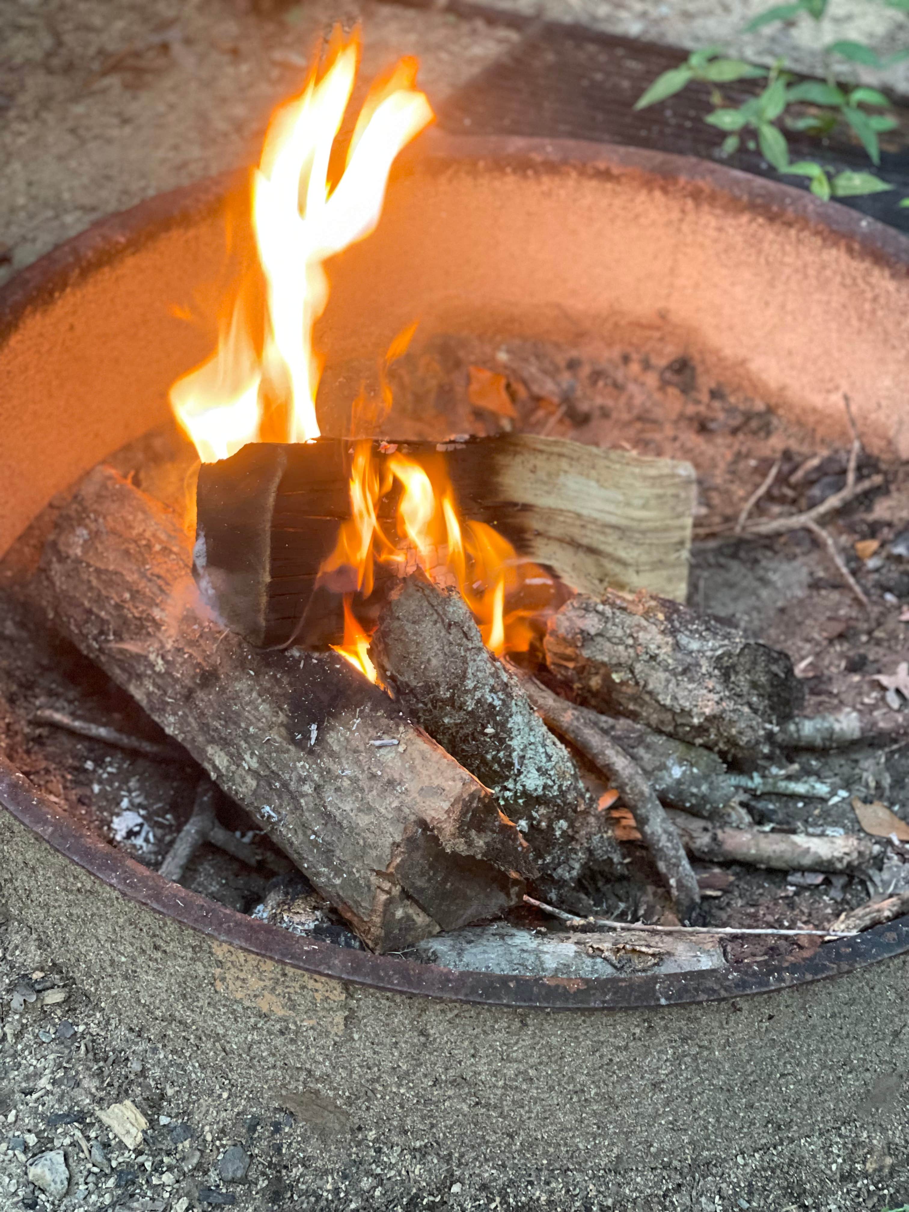 Camper-submitted photo at Andrew Jackson State Park Campground near Indian Trail, NC