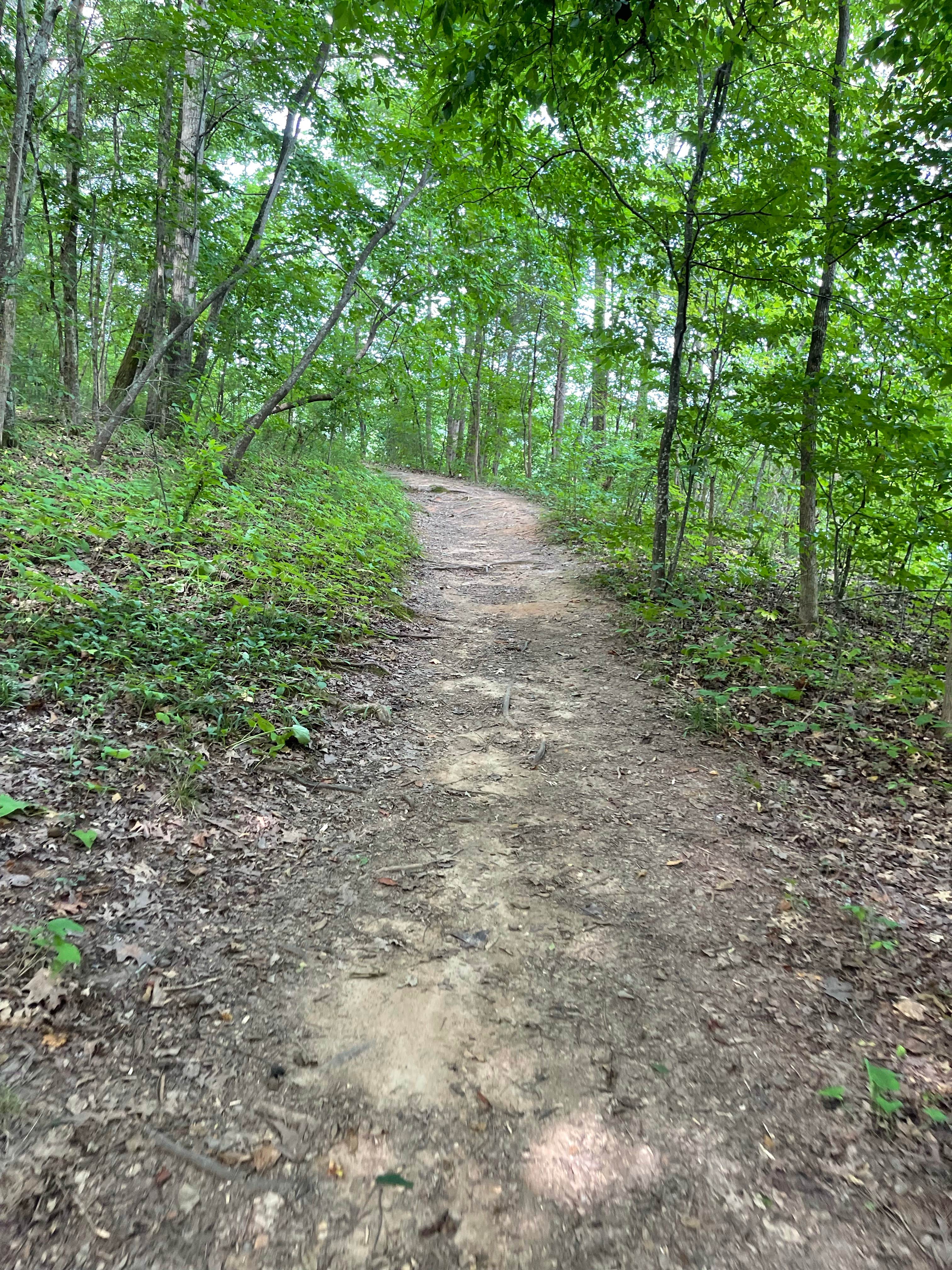 Camper submitted image from Andrew Jackson State Park Campground - 2