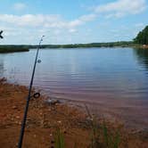 Review photo of Hawe Creek - J Strom Thurmond Lake by Swain K., June 16, 2018