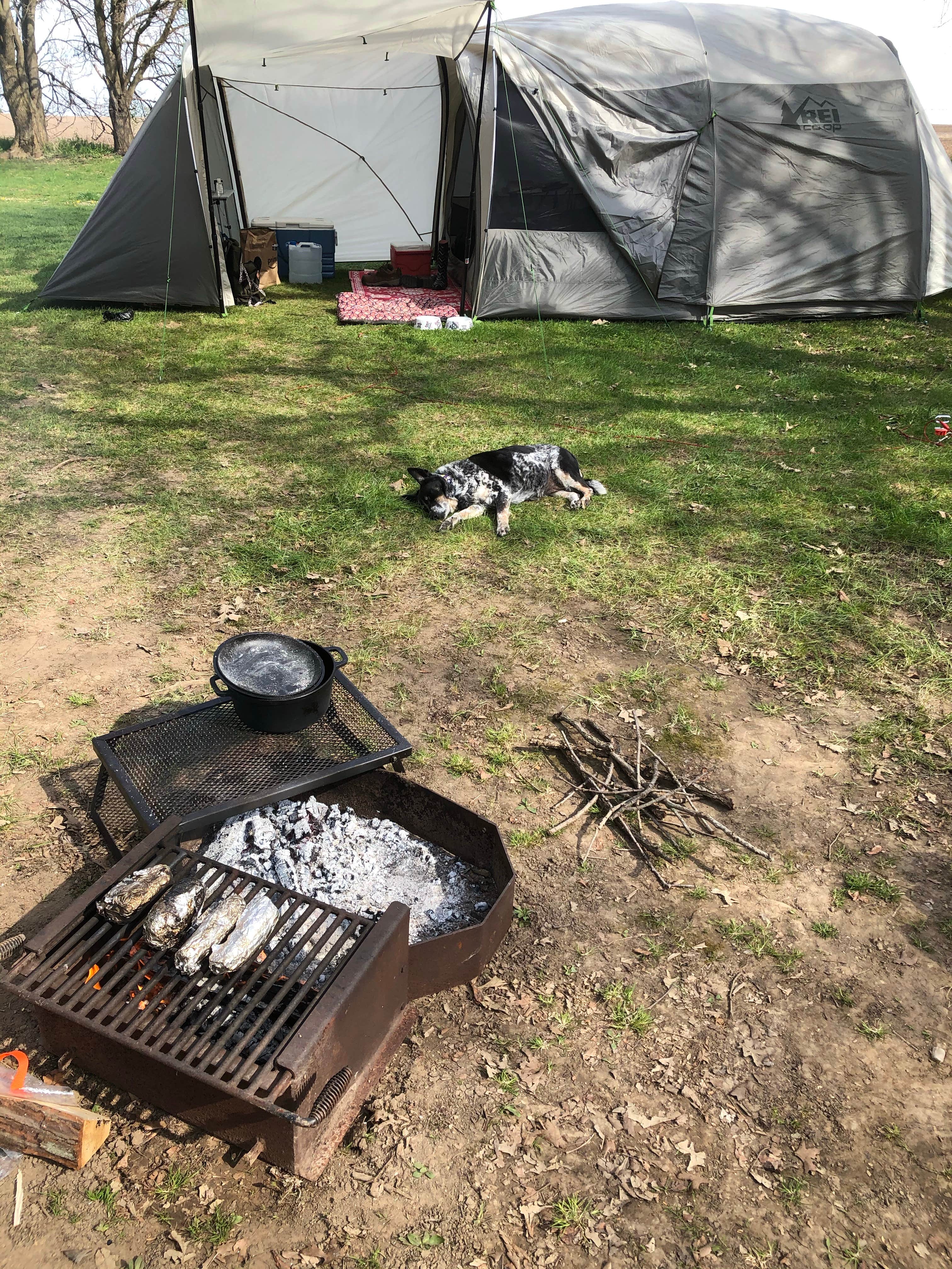Jason's photo of camping with pets at Lasalle/Peru KOA near Pontiac, IL
