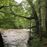 Review photo of Abrams Creek Campground — Great Smoky Mountains National Park by Kurt D., July 26, 2021