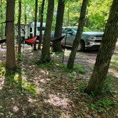 Review photo of Raccoon Ridge Campground — Brown County State Park by Jason N., July 26, 2021
