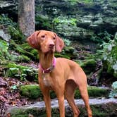 Review photo of Mammoth Cave Campground — Mammoth Cave National Park by Jason N., July 26, 2021